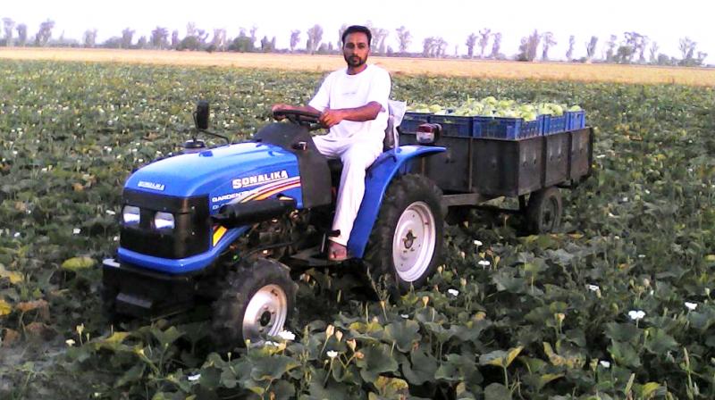 Amarjit Singh Dhillon Amarjit Singh Dhillon