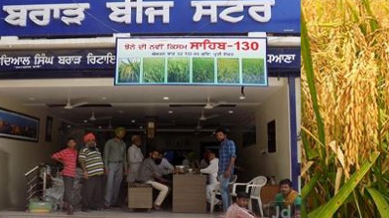 Brar Seed Store 