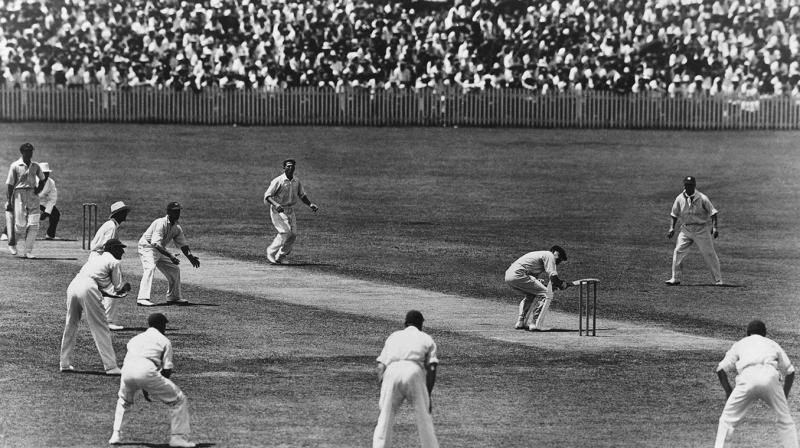 Cricket Cricket