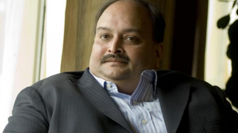 Mehul Choksi Mehul Choksi