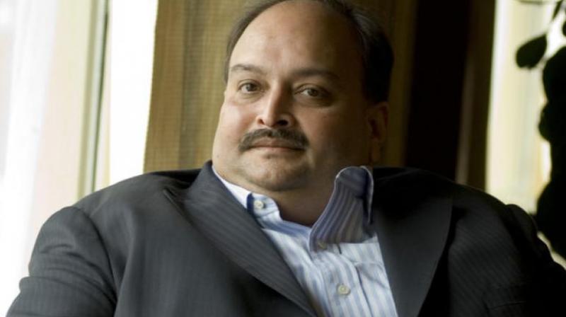 Mehul Choksi 