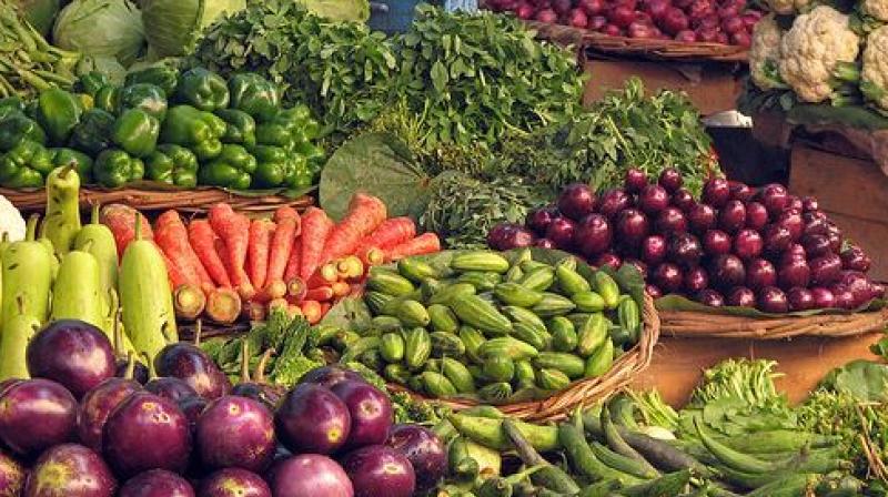 Vegetable Vegetable