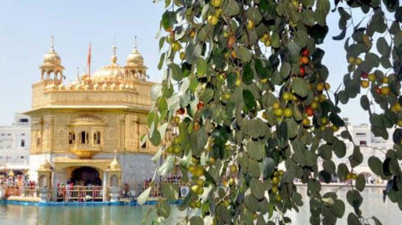 Golden Temple Golden Temple