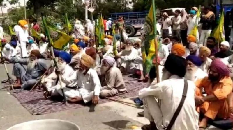 Farmer Protest Farmer Protest