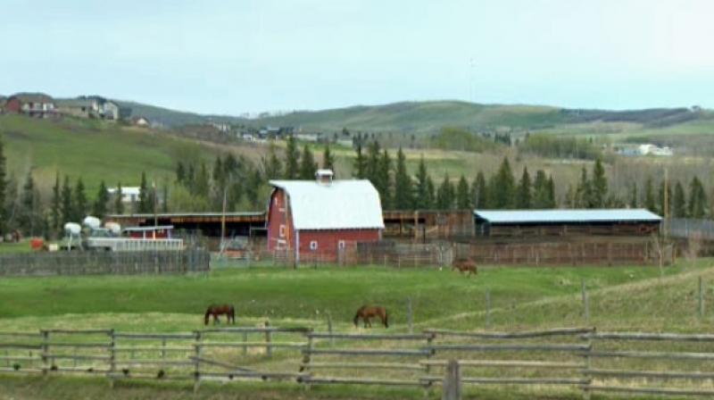 Rural Alberta 