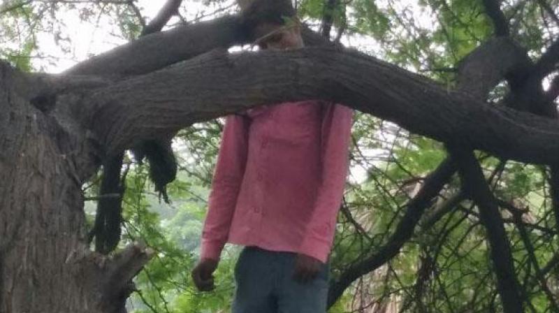 Suicide Case Suicide Case