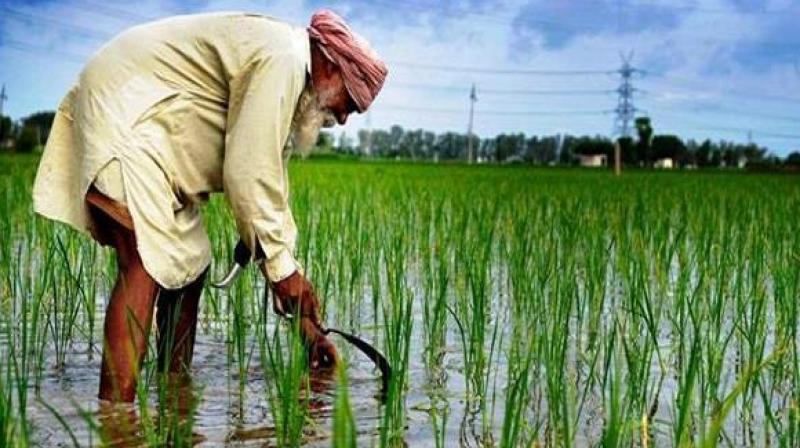 Kissan Kissan