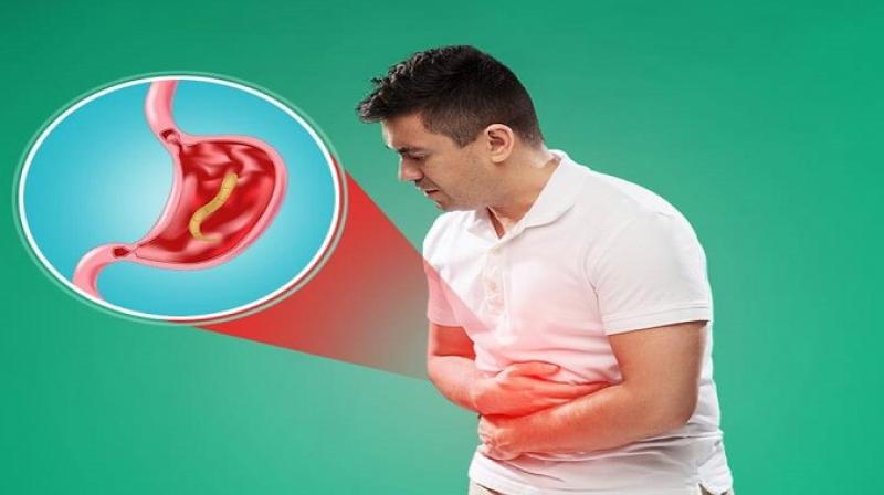 stomach worms stomach worms