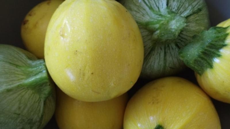 Smmer squash Smmer squash