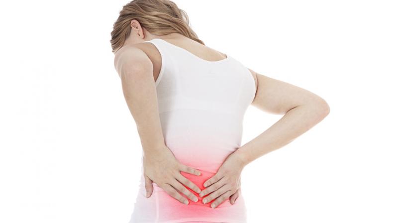Back Pain Back Pain