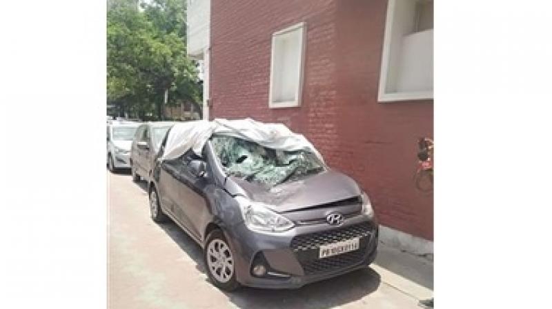 Suicide Case Suicide Case