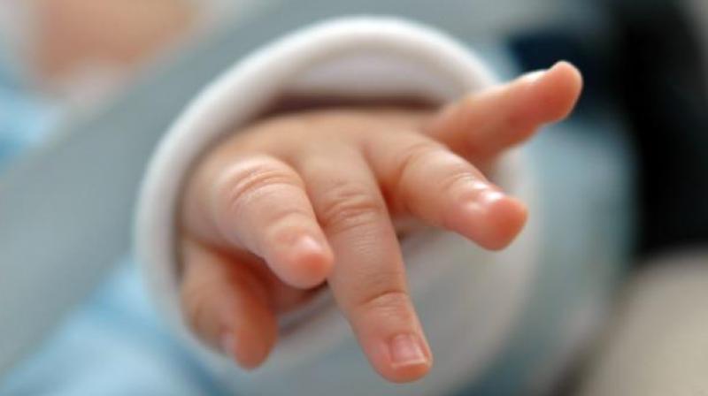 Newborn girl got near government hospital Newborn girl got near government hospital