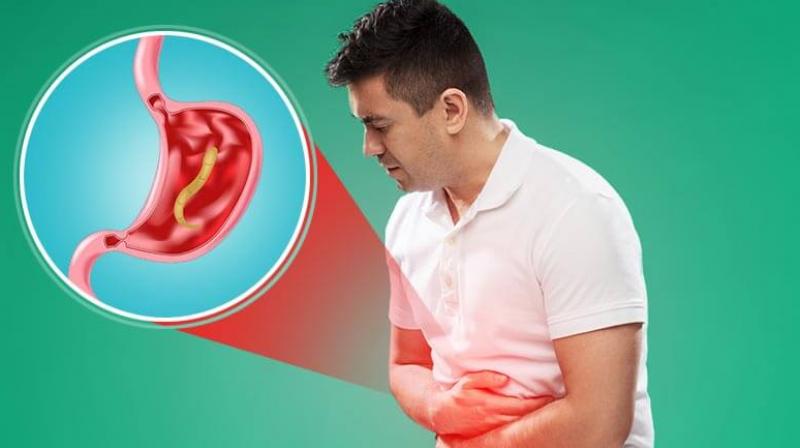Stomach Worm Stomach Worm