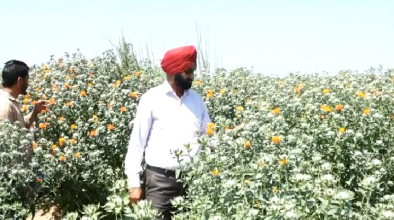 Kissan Gursharan Singh 