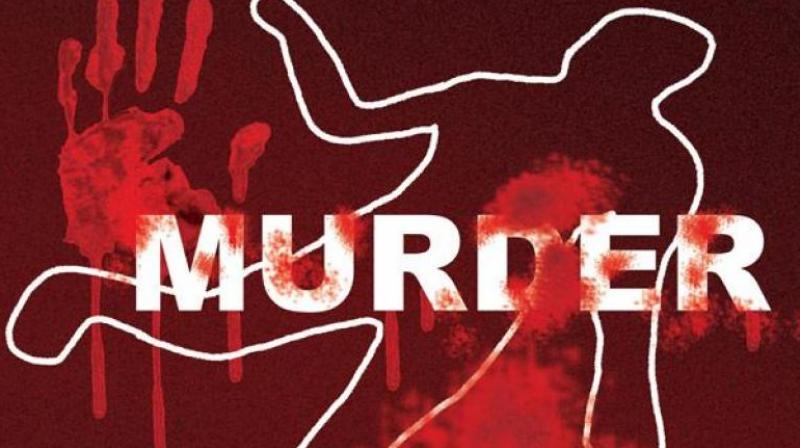 Murder Case Murder Case