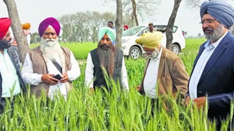 Agriculture Agriculture