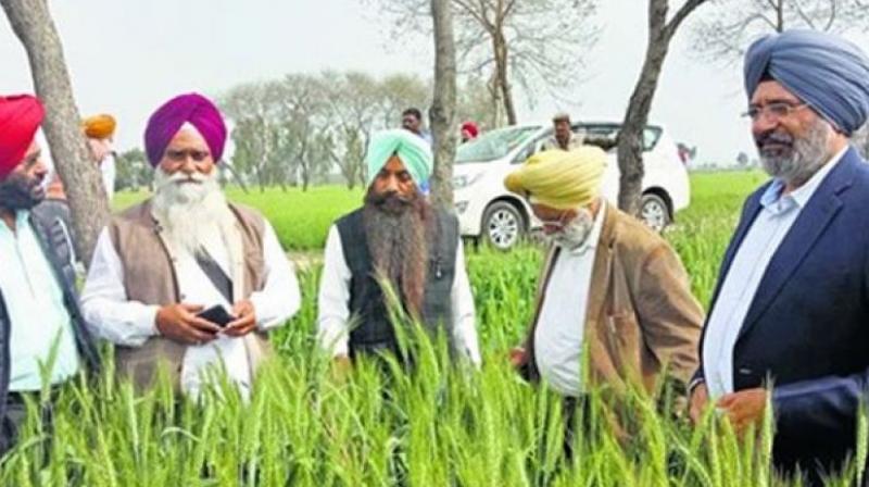 Agriculture Agriculture