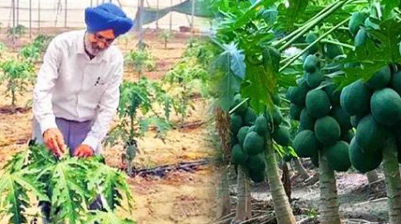 Kissan Gurtej Singh Saran Kissan Gurtej Singh Saran