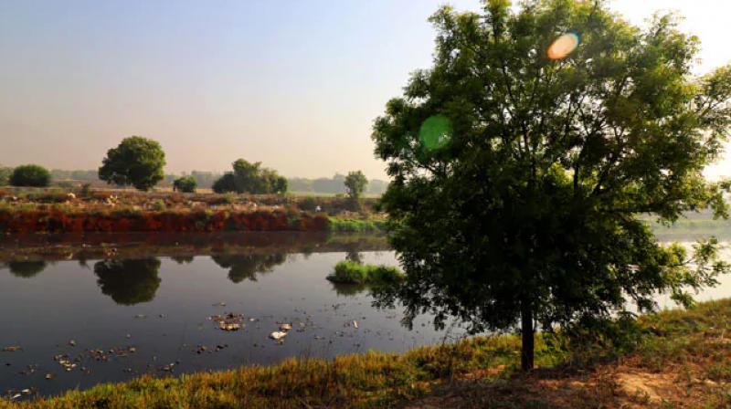 Bengal parents kill 16 year old daughter in malda dump her body in ganga Bengal parents kill 16 year old daughter in malda dump her body in ganga