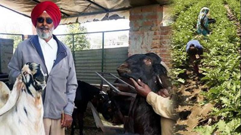 Gurtej Singh Gurtej Singh