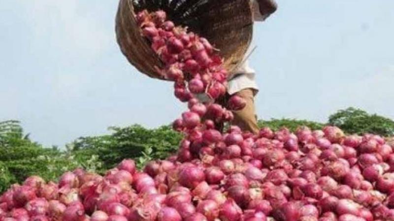 Onion Onion