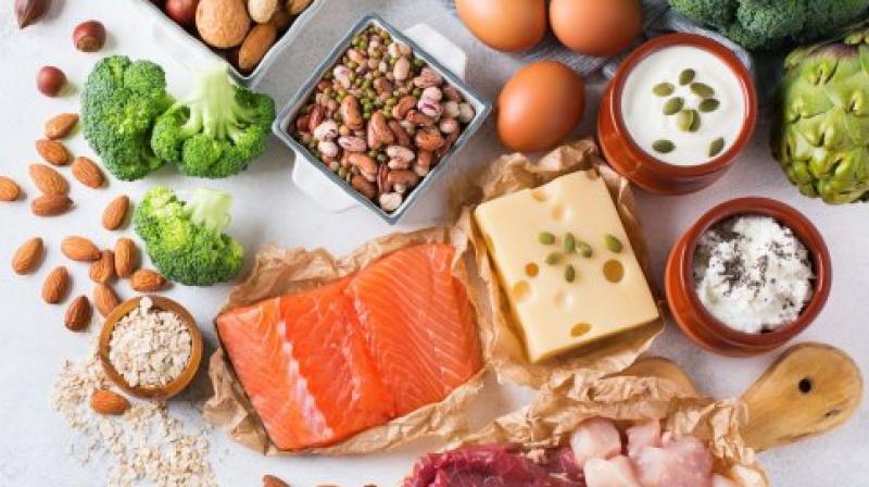 Protien Diet Protien Diet