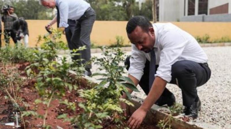 Plant 35 million saplings Plant 35 million saplings