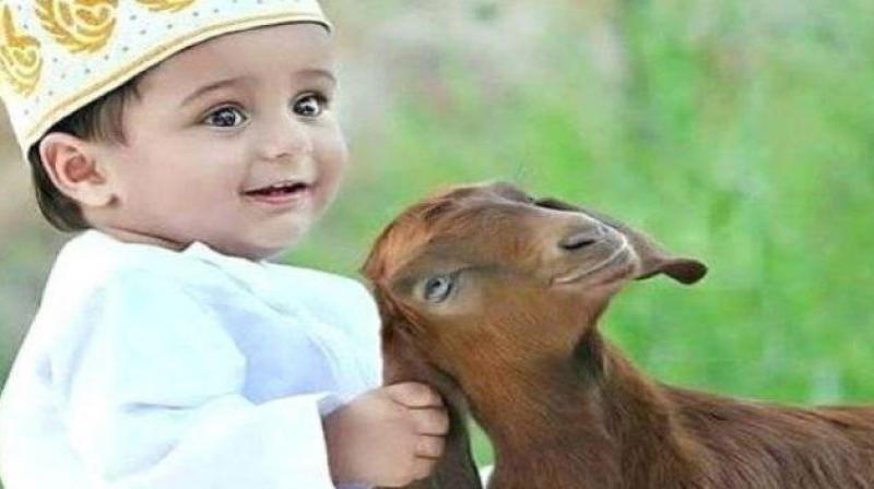 Bakrid Bakrid