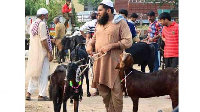 Bakrid Bakrid