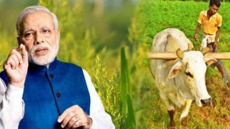 Pradhan mantri kisan pension yojana Pradhan mantri kisan pension yojana
