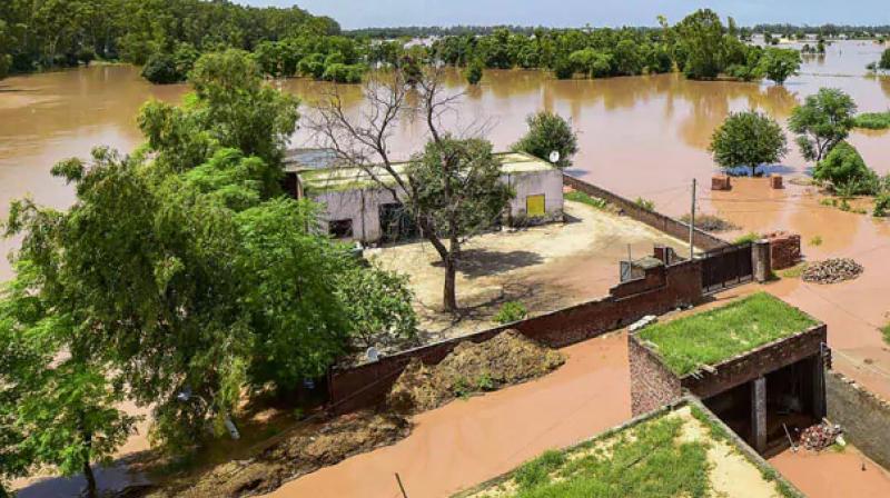 Doorbeen donated to money