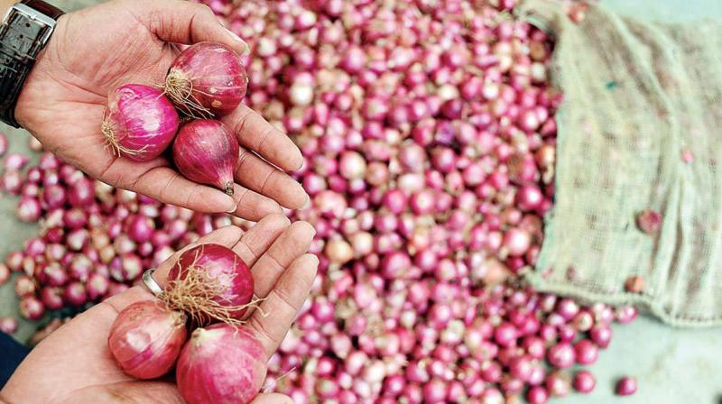 Onion price doubled in august month Onion price doubled in august month