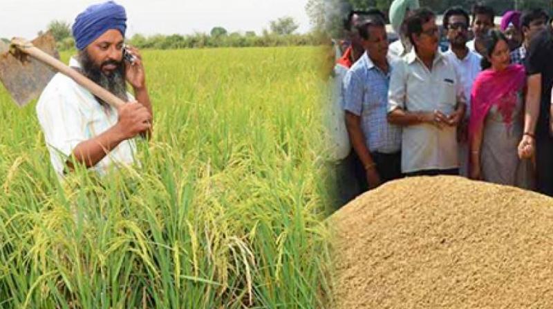 Kissan Kissan