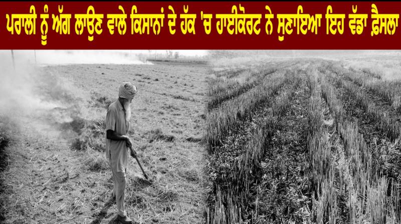Kissan Kissan