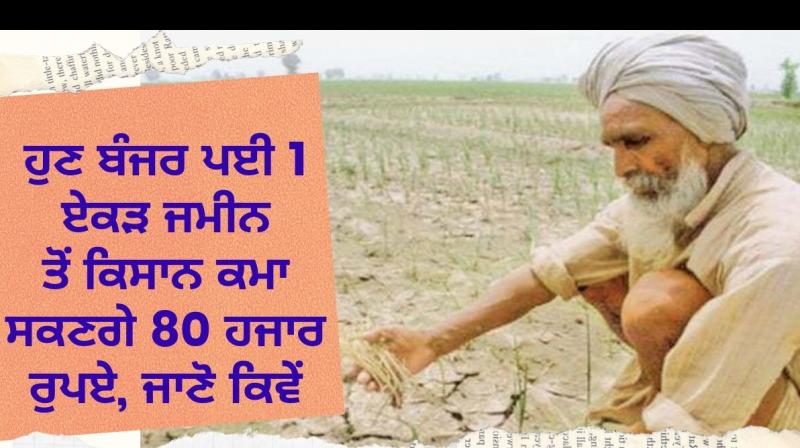 Kissan Kissan