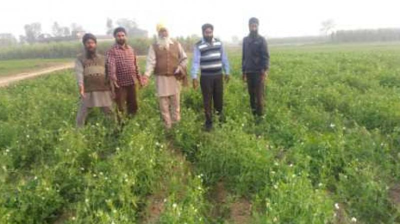 Kissan Kissan
