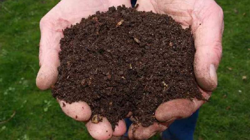 Organic Fertilizers Organic Fertilizers