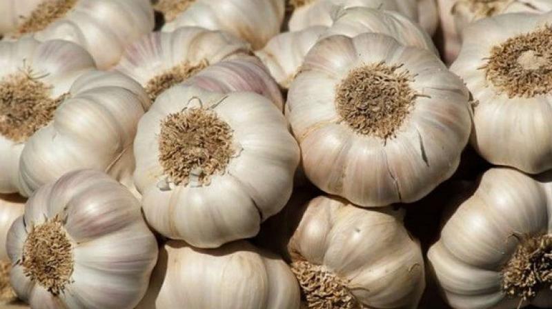 Garlic Garlic
