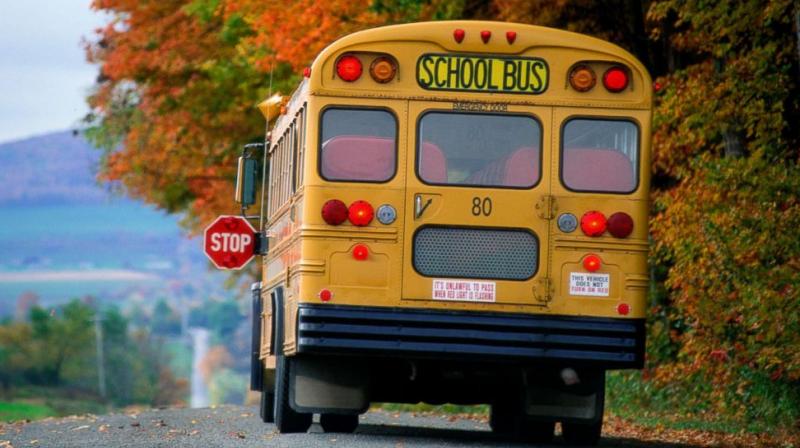 School Bus School Bus
