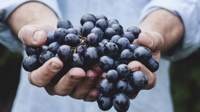 Black Grapes Black Grapes