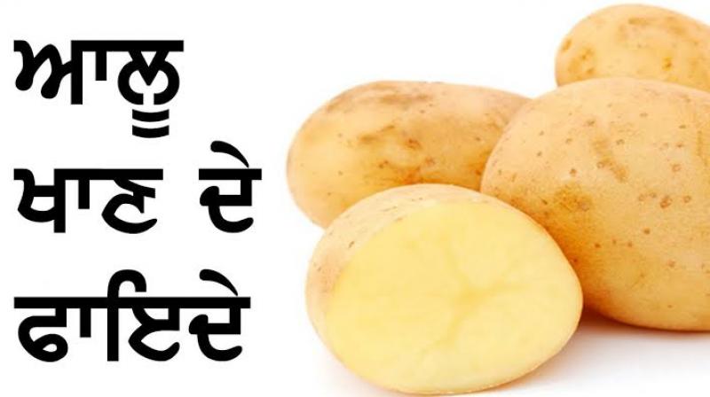 Patato Patato