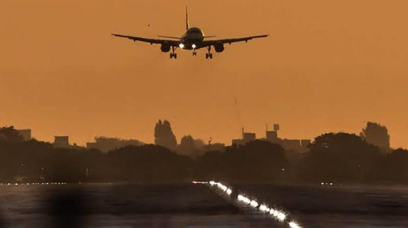 Flight Flight