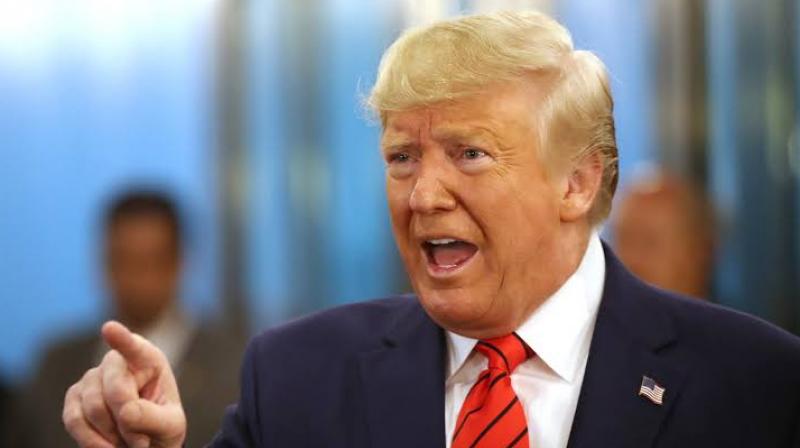 Trump Trump
