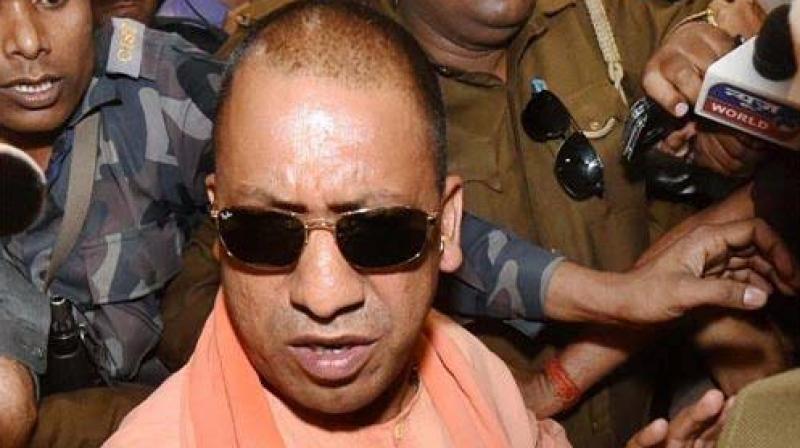 Yogi Yogi