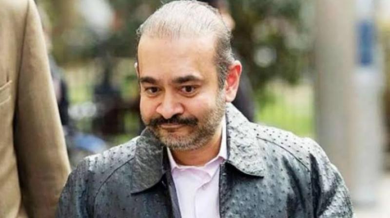 Nirav Modi