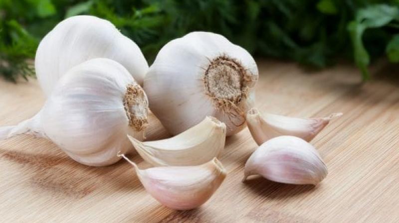 Garlic