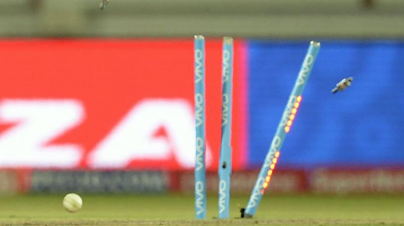 Cricket Cricket