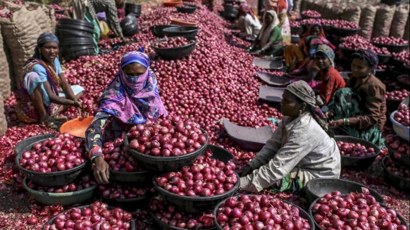 Onion Onion