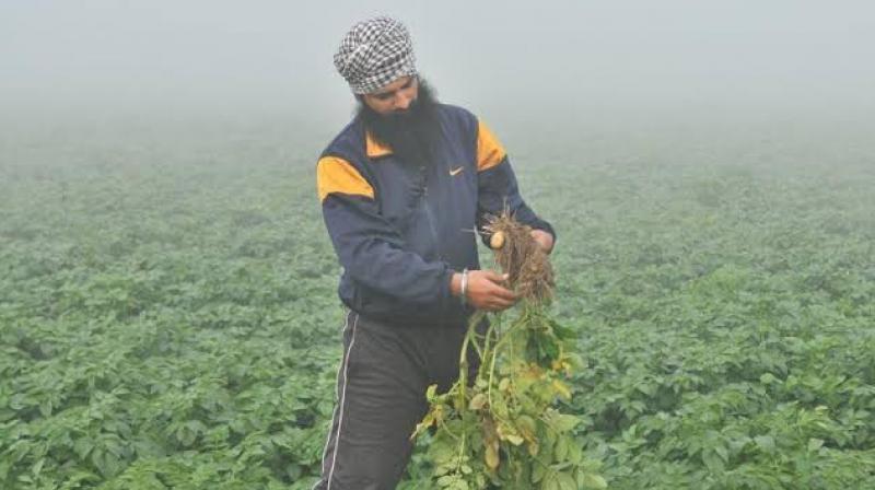 Kissan Kissan