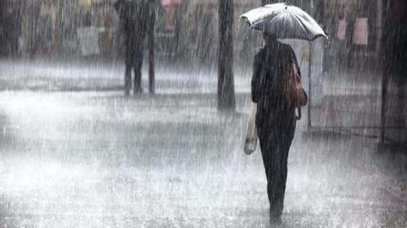 Rain Rain